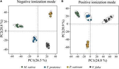 Untargeted Metabolomics Approach Reveals Differences in Host Plant Chemistry Before and After Infestation With Different Pea Aphid Host Races